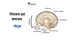 Biology Class 10th Chapter 2 Notes in Hindi